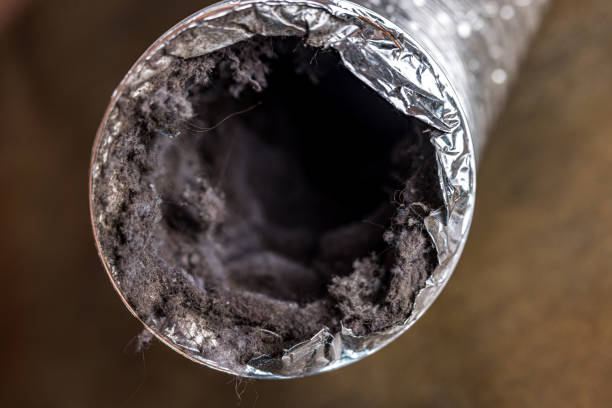 Best Professional Duct Cleaning Services  in Santa Cruz, CA